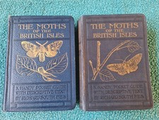 Wayside woodland moths for sale Wayside woodland moths for sale  STROUD