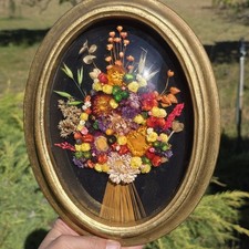 Cideart bubble dome for sale  Eugene