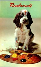 Rembrandt little puppy for sale  Cary