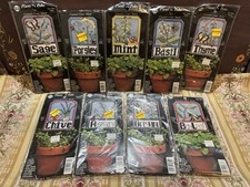 Nmi plant pokes for sale  Saint Cloud