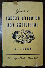 Guide canary breeding for sale  NORTHALLERTON