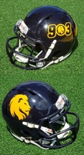Texas commerce lions for sale  Merritt Island