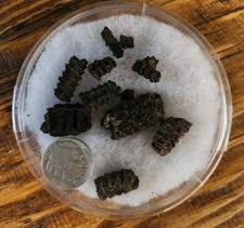 Prehistoric authentic hohokam for sale  Phoenix