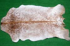 animal hides for sale  SOUTHALL