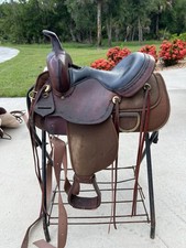 Circle high horse for sale  Arcadia