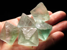 Lot five fluorescent for sale  Salt Lake City