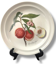 Portmeirion POMONA 2 platos de cena Royal George Fruit England 10 1/2 pulgadas segunda mano  Embacar hacia Mexico