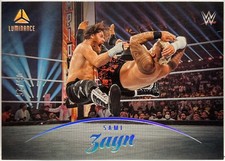 Sami zayn luminance usato  Cologno Monzese