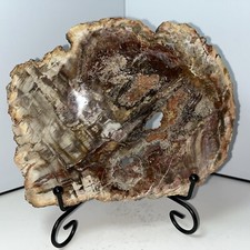 Petrified wood druzy for sale  Kendall Park