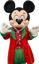 Hire mickey mouse for sale  DUDLEY