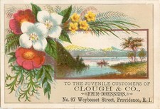 1890 victorian trade for sale  Wilmot