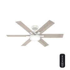 Hunter fan casual for sale  Carol Stream