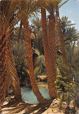 MAROC BLEUE DE MESKI na sprzedaż MAROC BLEUE DE MESKI na sprzedaż  Wysyłka do Poland