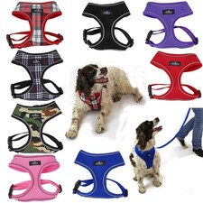 Dog harness puppy for sale  CREDITON