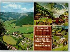 10240280 7816 muenstertal gebraucht kaufen  Eimeldingen