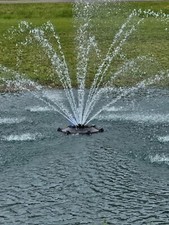 Fountain pond accent for sale  Saint Paul