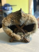 Vintage coyote fur for sale  Windham