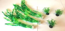 Assorted aquarium fish for sale  Laguna Hills