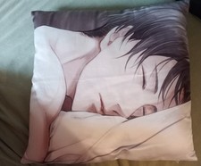 anime kissen gebraucht kaufen anime kissen gebraucht kaufen Chemnitz