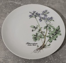 Assiette véritable porcelaine d'occasion  Bas-en-Basset