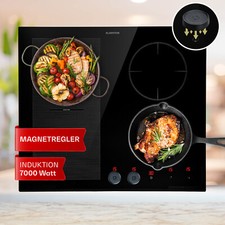 Induktionskochfeld platten ein gebraucht kaufen  Kamp-Lintfort