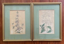 Pair framed curtis for sale  Crystal Lake