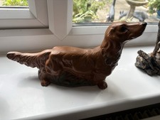 Brown long haired for sale  NORTH FERRIBY