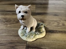 West highland terrier for sale  SUTTON COLDFIELD