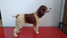 English welsh springer for sale  HOUNSLOW