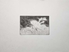 Roberto barni opera usato Roberto barni opera usato  Carrara