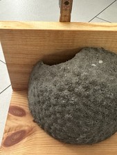 Nistkasten schwalben schwalben gebraucht kaufen  Bergfelde