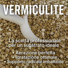 Vermiculite 100 naturale usato  Vercana
