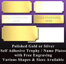 Engraved trophy plate for sale  IPSWICH