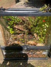 Exo terra natural for sale  DUNFERMLINE
