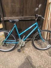 Adult bike raleigh for sale  STAFFORD