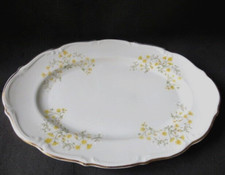 Walbrzych china spring for sale  Davenport