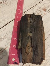 Petrified wood log for sale  Bremen