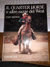 Quarter horse altre usato  Italia