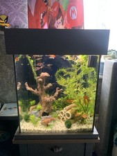 Fish tank, used for sale  LEICESTER