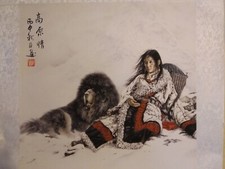tibetan mastiff for sale tibetan mastiff for sale TAUNTON