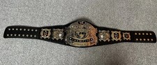 Wwe undisputed championship for sale  DUDLEY