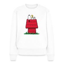 Peanuts snoopy hundehütte gebraucht kaufen  Leipzig