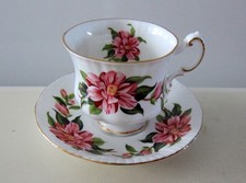 Paragon camelia flower for sale  Southampton