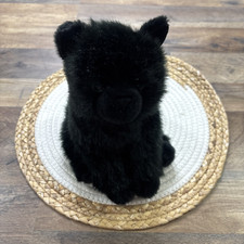 Douglas salem black for sale  Warwick