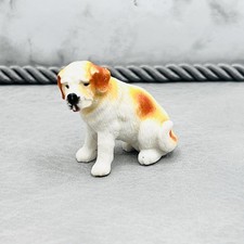 Saint bernard mini for sale  Glen Cove