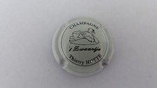 Capsule champagne hotte d'occasion  Vern-sur-Seiche