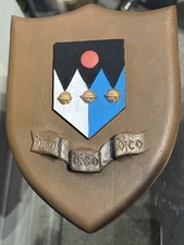Clarecraft discworld shield for sale  MANSFIELD