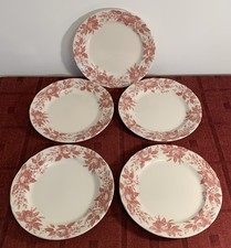 Claytan tableware pink for sale  BRIDGWATER
