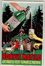 13661701 quellwasser borviz gebraucht kaufen  Eimeldingen