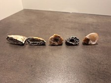 Halbedelstein sammlung gebraucht kaufen  München